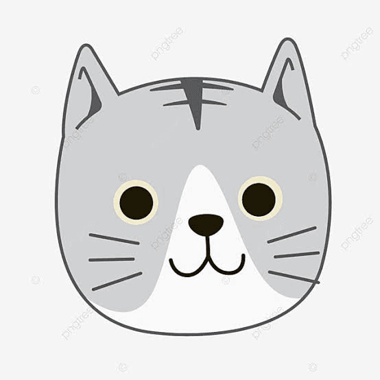 avatar MIAUW STORE