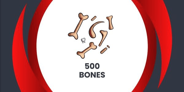 Gambar Product 500 BONES