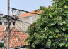 seller-image