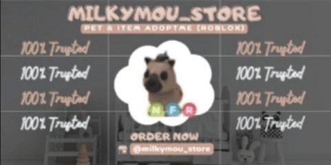Product Showcase