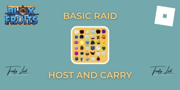Gambar Product Basic Raid