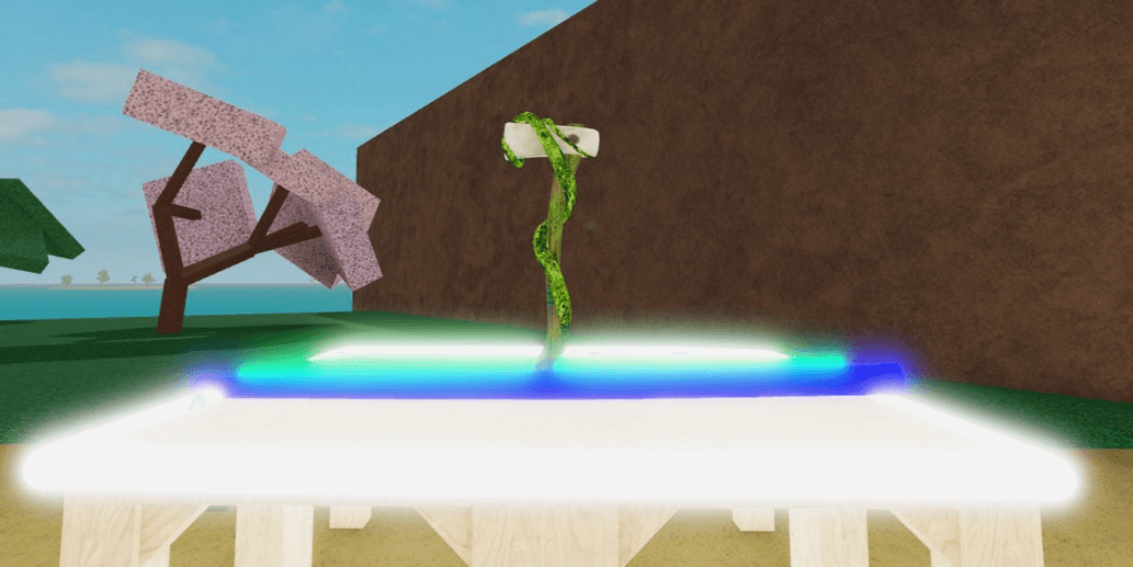 Product Showcase