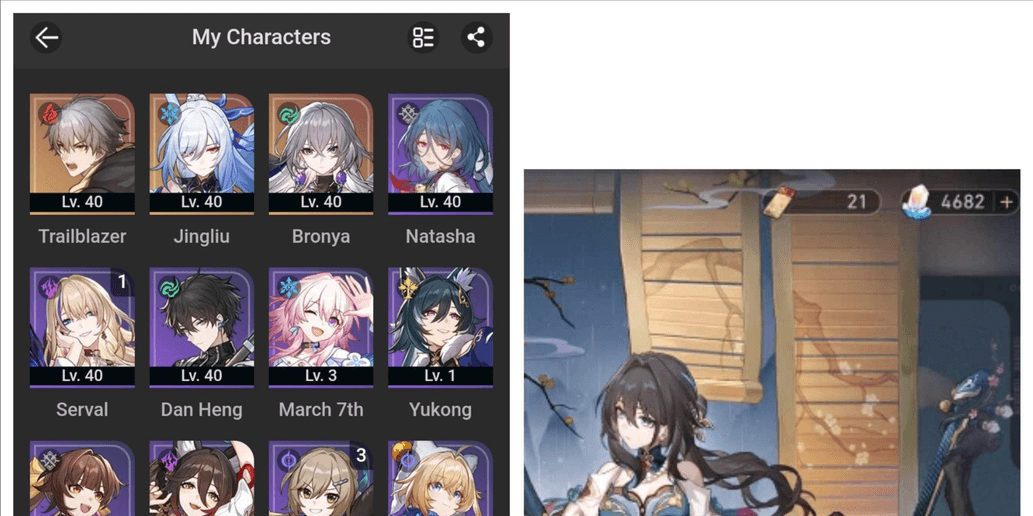 Product Showcase