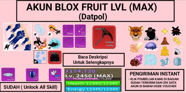 ROBLOX BLOX FRUIT Account Human V3 LEOPARD Max Level 2450 43M Beli
