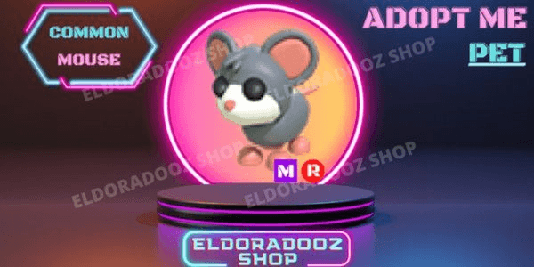 Product Showcase
