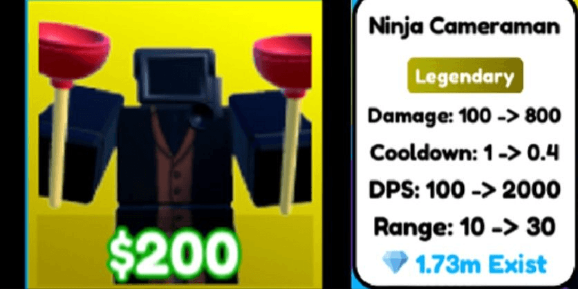 Product Showcase
