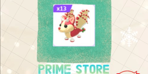Product Showcase