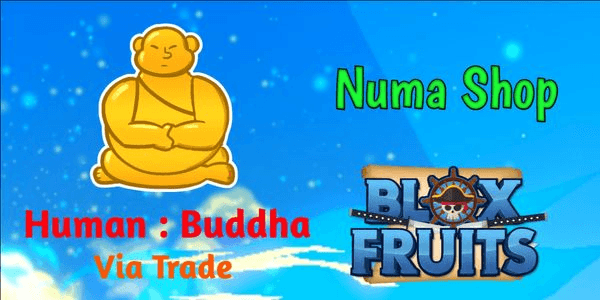 Gambar Product BUDDHA FRUIT 窶