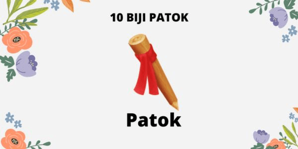 Gambar Product [CHEAP] 10 PATOK SEEDS