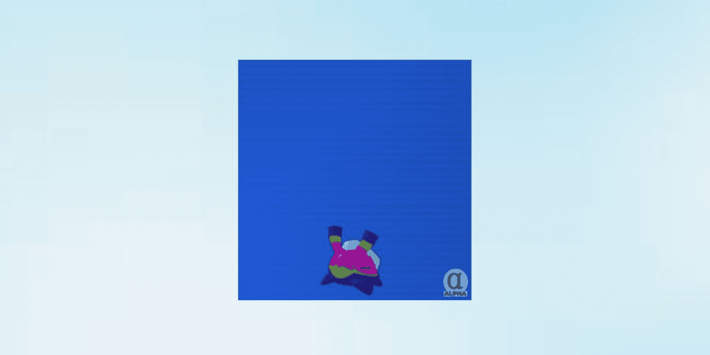 Product Showcase