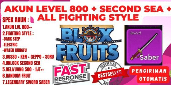 Gambar Product BLOX FRUIT ACCOUNT LEVEL 800 + SECOND SEA + BONUS