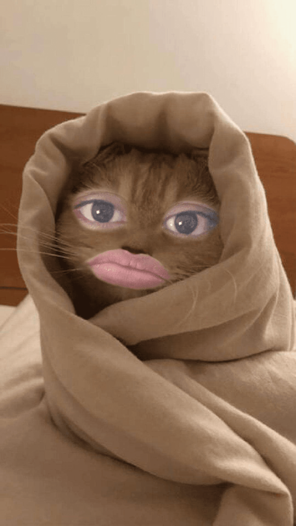 avatar MC Aja