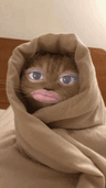 storeAvatar