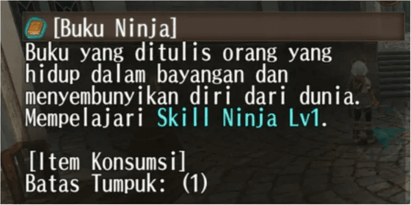 NINJA BOOK