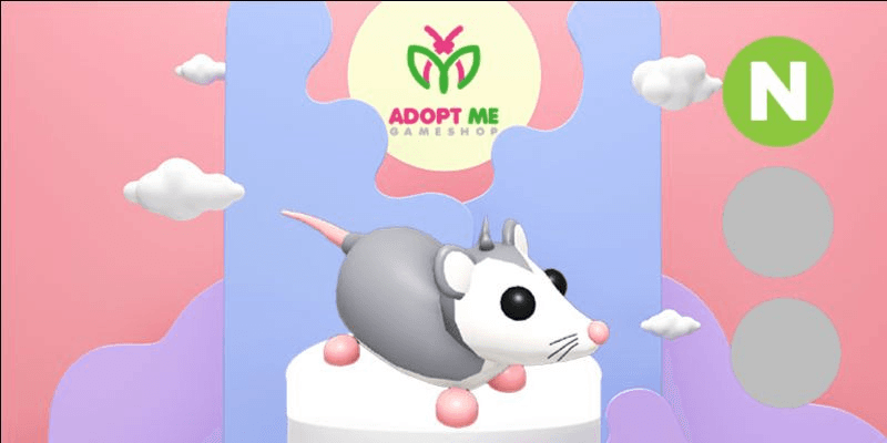 Product Showcase