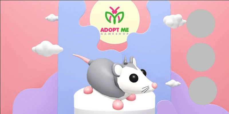 Product Showcase