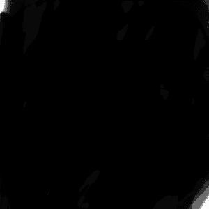logo Foolix Game