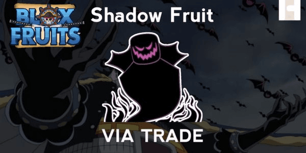 Gambar Product Shadow (Natural)