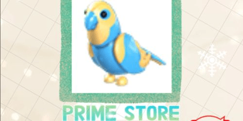 Product Showcase