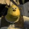 storeAvatar