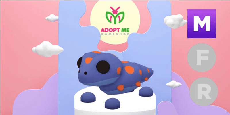Product Showcase