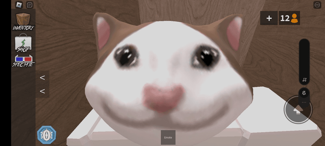 Pop cat blox fruit
