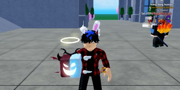 Product Showcase