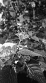 seller-image
