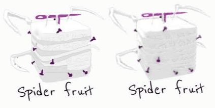 Gambar Product Spider (via trade)