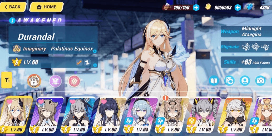 Product Showcase