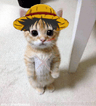 seller-image