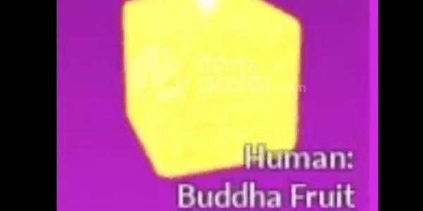 Gambar Product Human: Buddha (Beast)