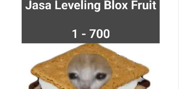 Gambar Product Leveling 1 -700