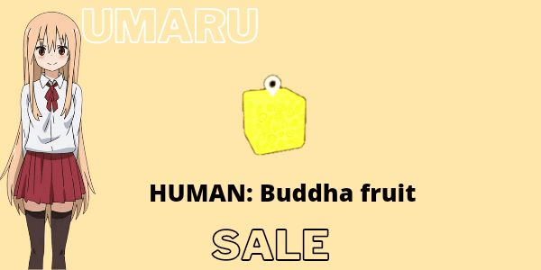 Gambar Product Human: Buddha (Beast)
