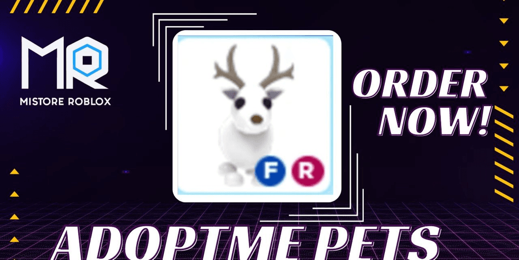 Product Showcase
