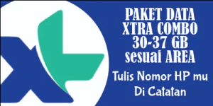 Xtra Combo Lite 31 GB (30 Hari)