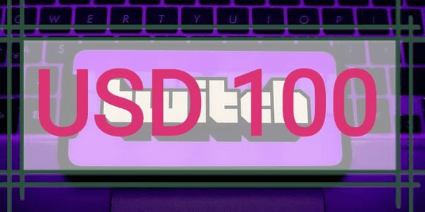 Gambar Product US $100