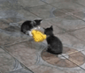 seller-image