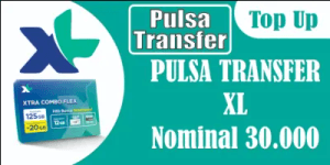 Pulsa Transfer 30000