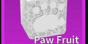 Gambar Product Paw (Natural)
