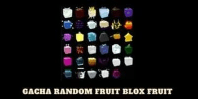 Gambar Product Gacha Fruit Random || BLOX FRUIT ( PAKET 10X GACHA )