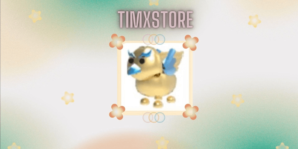 Product Showcase