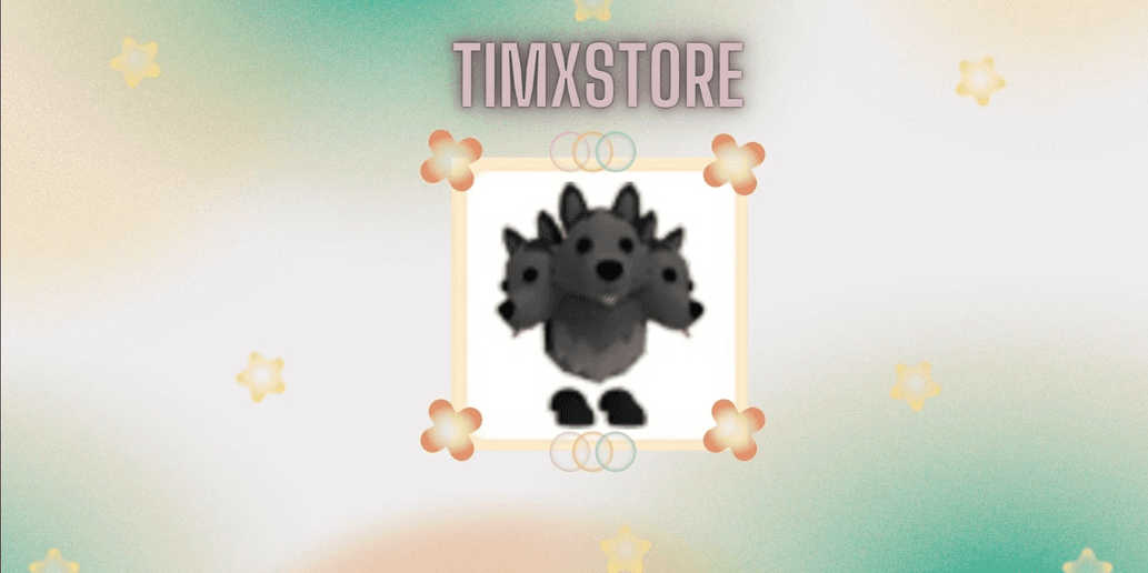 Product Showcase