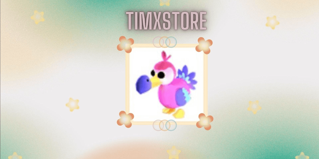 Product Showcase