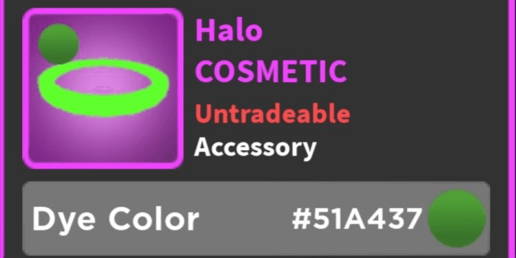 Product Showcase