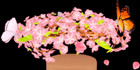 product-image-0