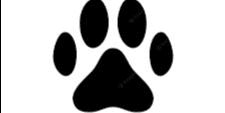 Gambar Product Paw fruit