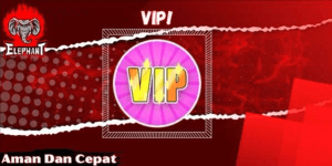 VIP Gamepass (Sword Warriors)