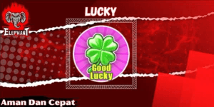 Lucky Gamepass (Sword Warriors)