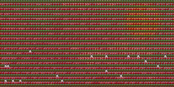Gambar Product Laser Grid Farm / Lgrid Farm Full (Ready Harvest)